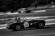 Austin Healey 1956 - Marc Blachere